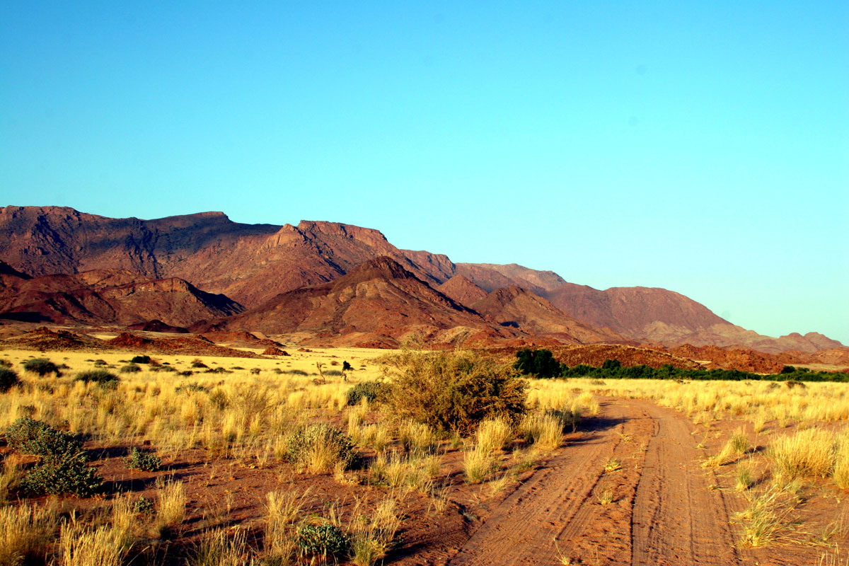 Terres des Sans / Bushmen (Tsumkwe & Grashoek)