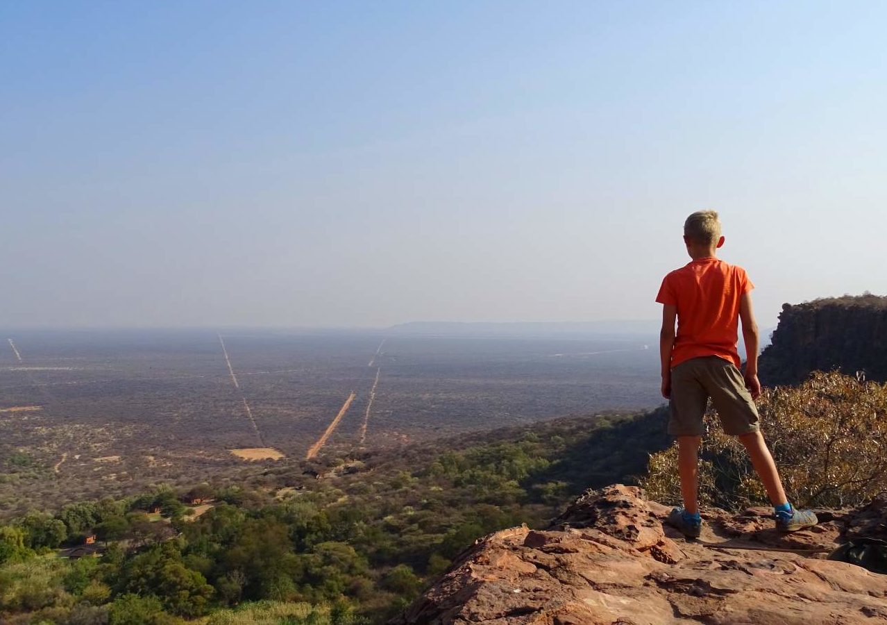 Réserve d'Okonjima / Plateau du Waterberg